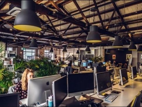 Bay Area Digital Marketing Agency